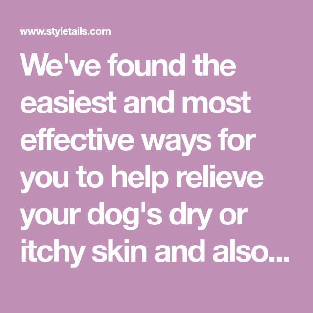 8 Natural Ways to Treat Dry and Itchy Skin in Dogs