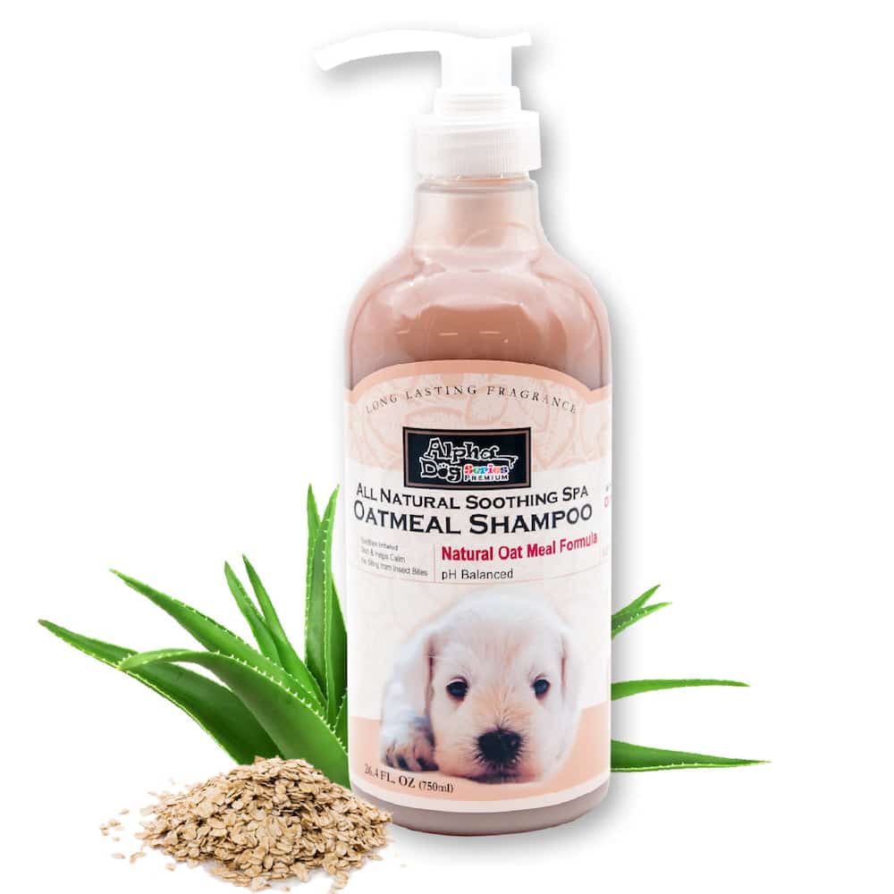 All Natural, Anti Itch Oatmeal Shampoo + Conditioner for Dogs ...