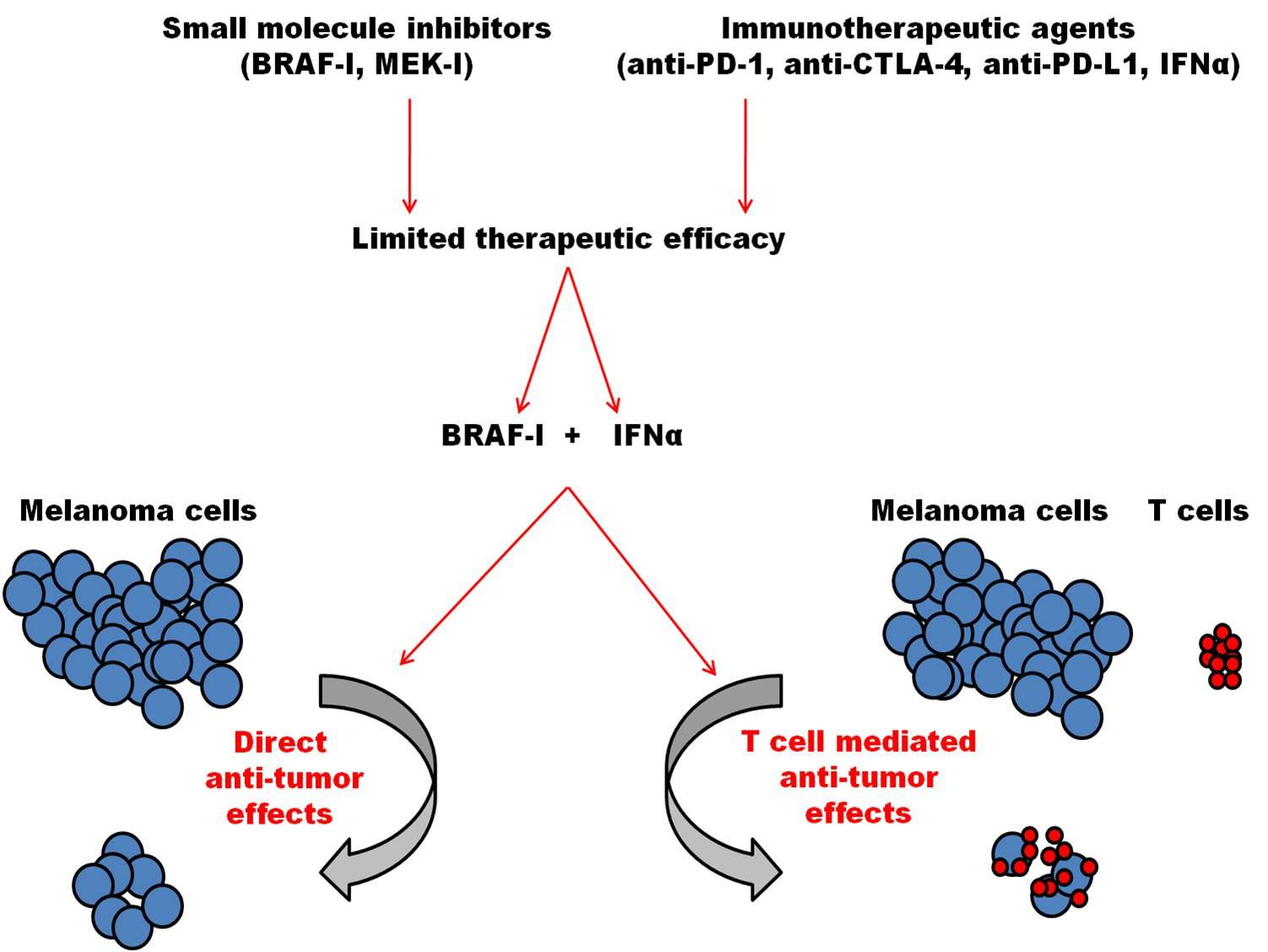 BRAF inhibitor and interferon alpha combination for ...
