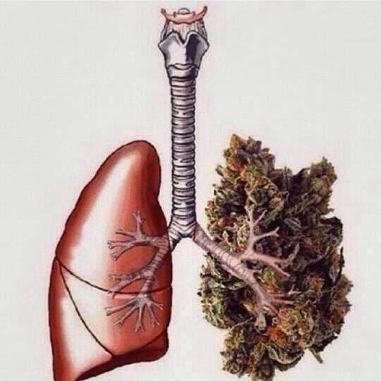 Can You Get Lung Cancer From Smoking Weed