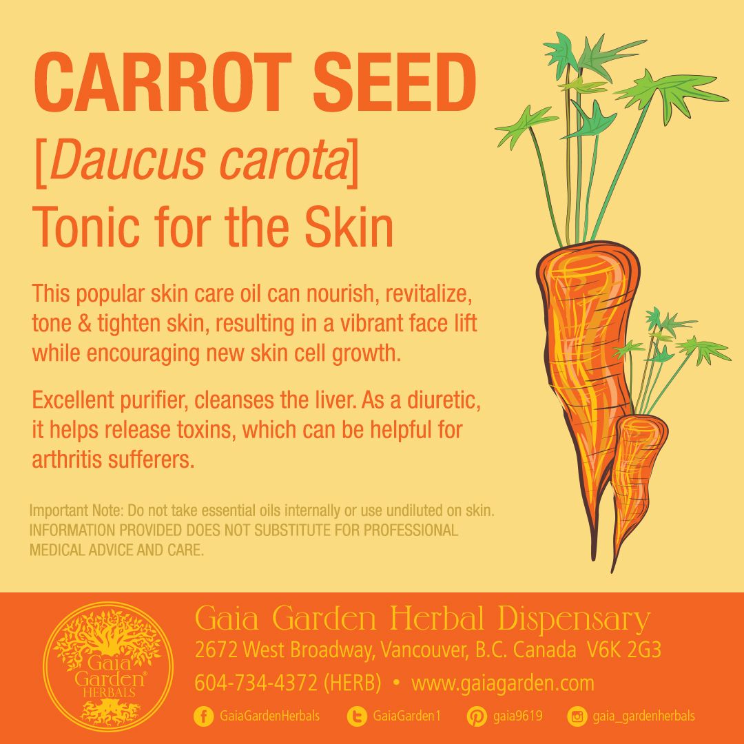 CARROT SEED u00 [Daucus carota] Tonic for the Skin This popular skin ...