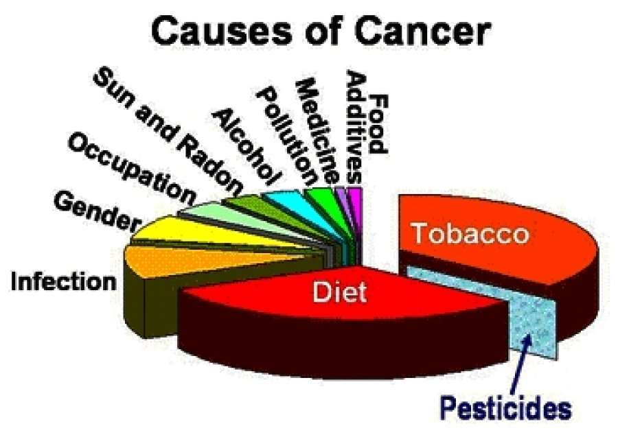 Causes of Cancer: Symptoms,Treatments and Prevention Pg1 ...