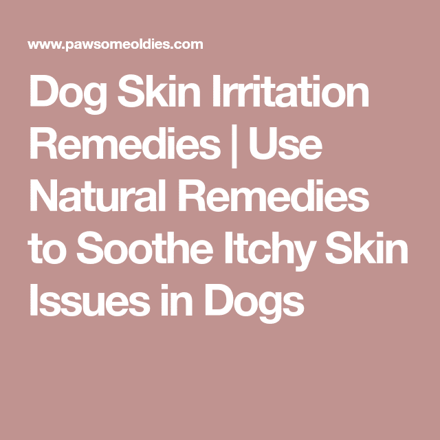 Dog Skin Irritation Remedies
