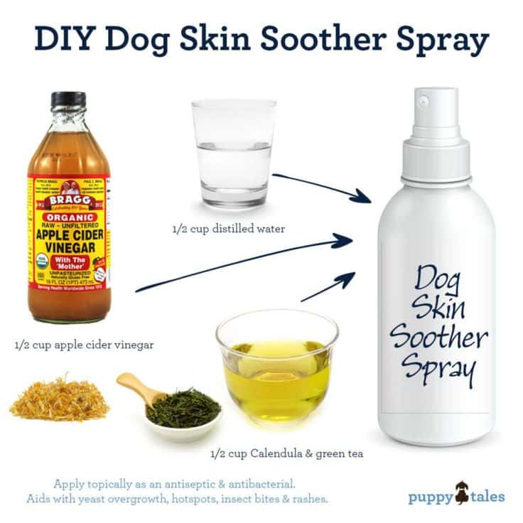 Great Home Made Spray for an Itchy Dog