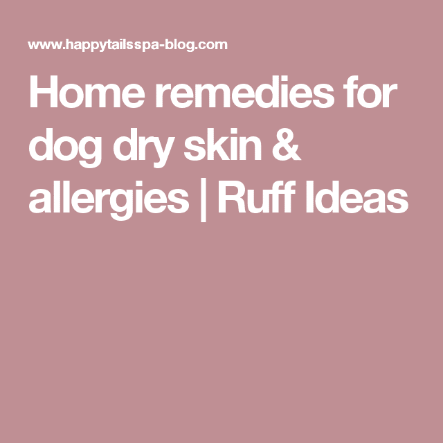 Home remedies for dog dry skin &  allergies