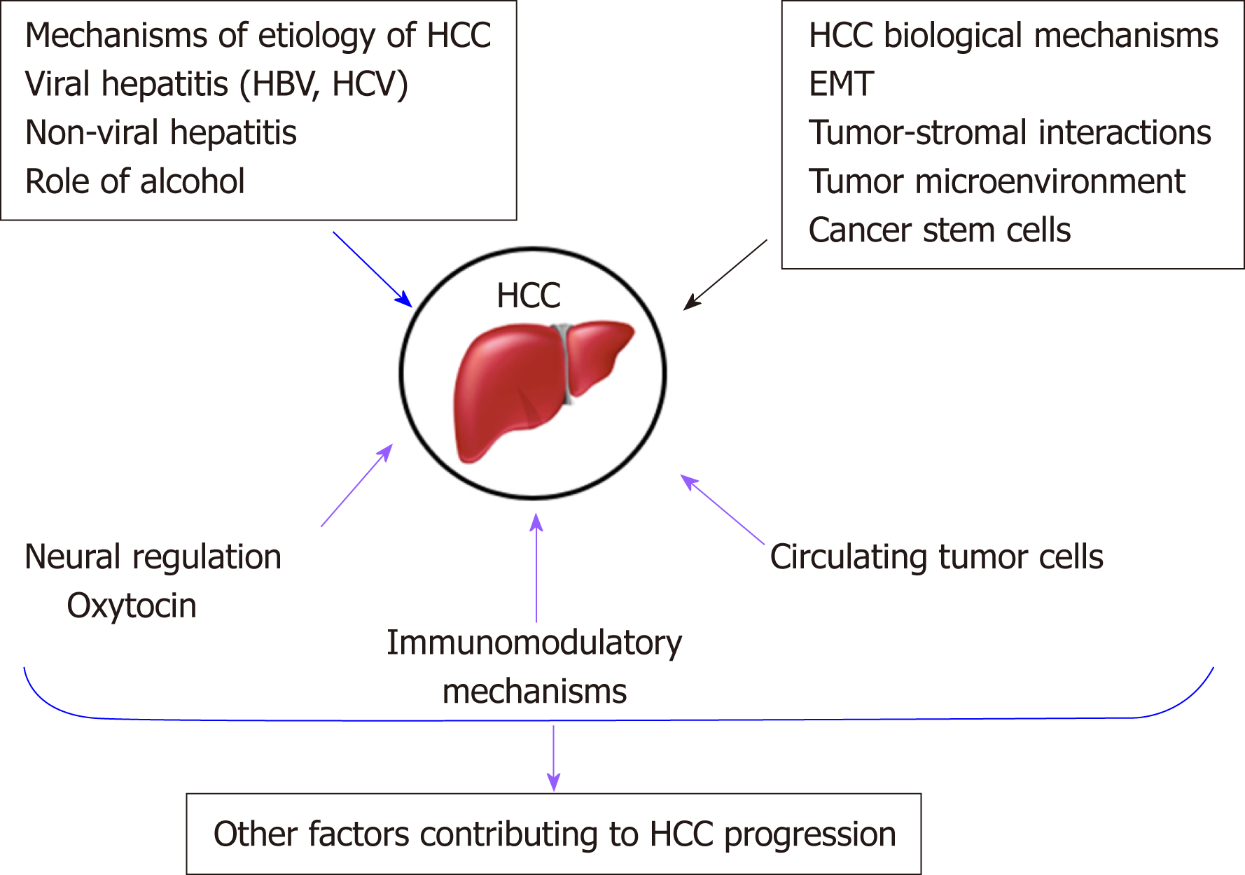 Mechanisms of hepatocellular carcinoma progression