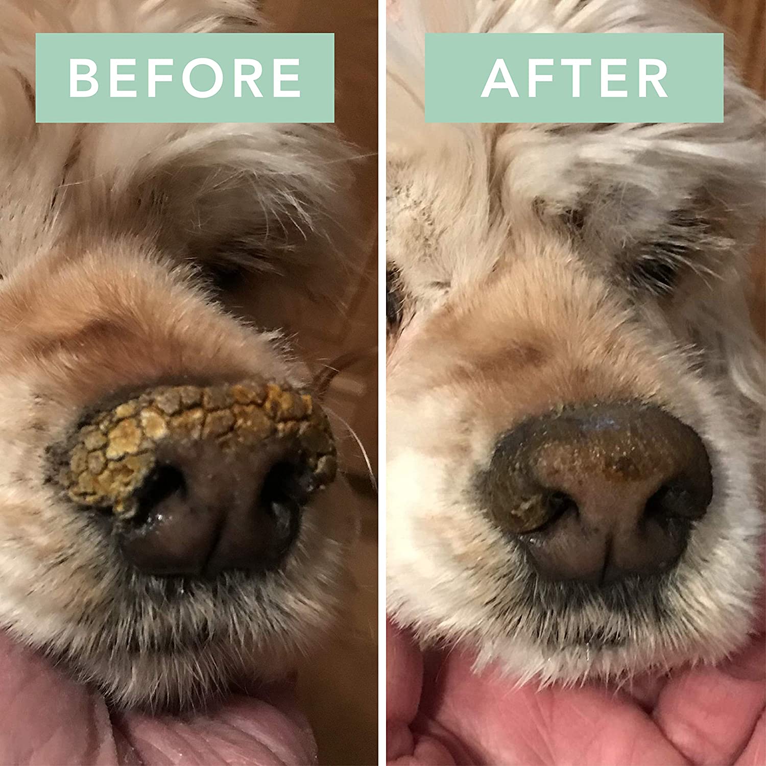 Natural Dog Company â Snout Soother