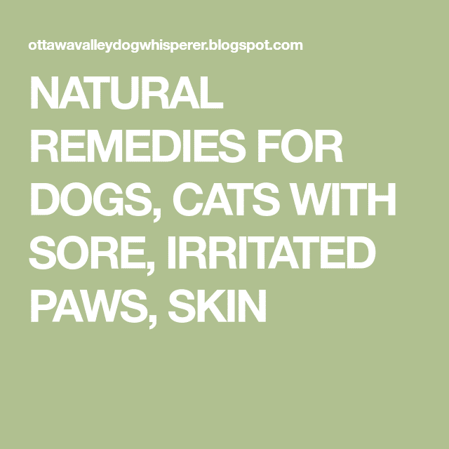 NATURAL REMEDIES FOR DOGS, CATS WITH SORE, IRRITATED PAWS, SKIN