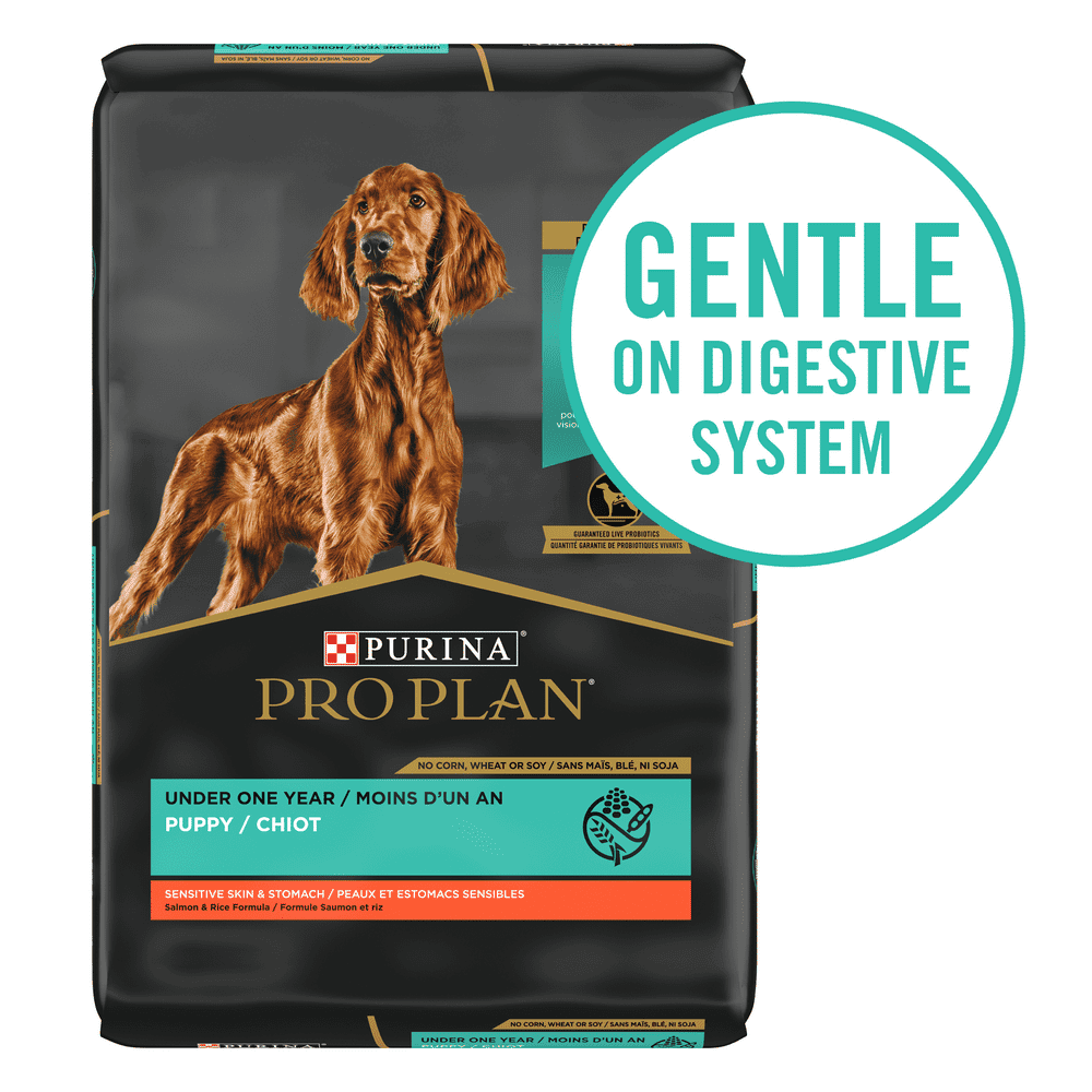 Purina Pro Plan Probiotic, Sensitive Stomach Dry Puppy Food, Sensitive ...