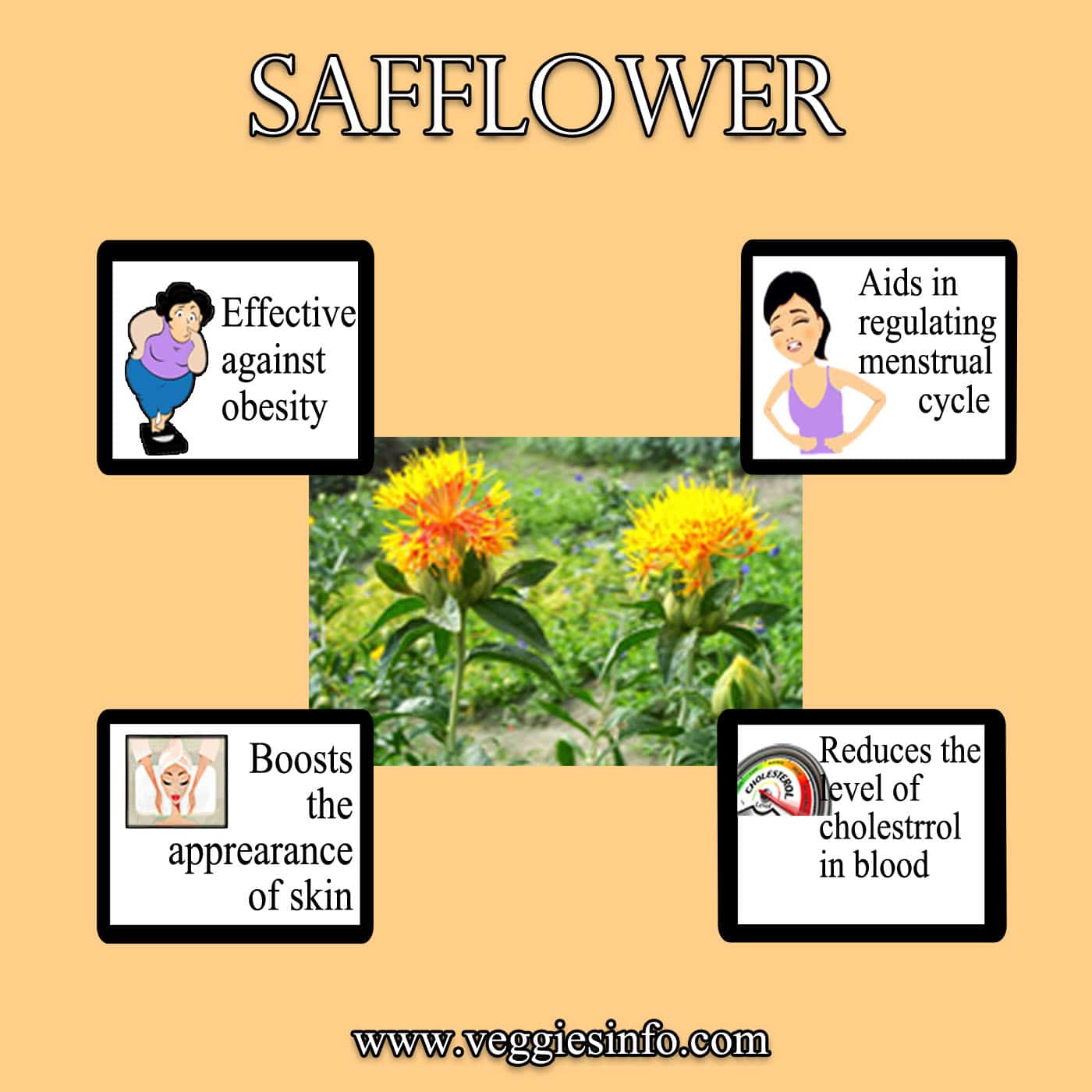 Safflower Medicinal And Health Uses