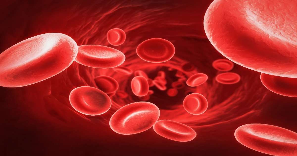 Sickle cell disease better understood with new computer images