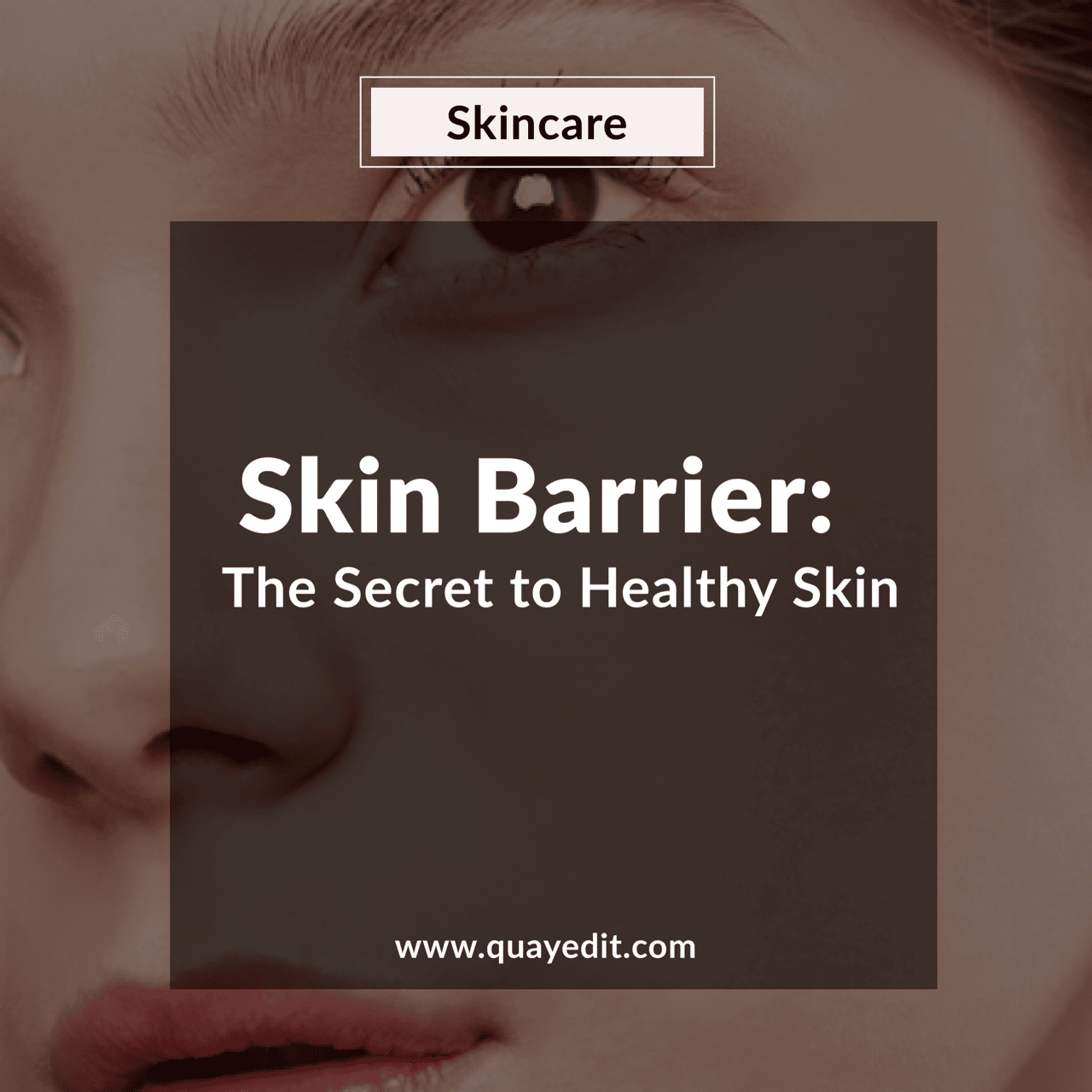 Skin Barrier: The Secret to Healthy Skin in 2020