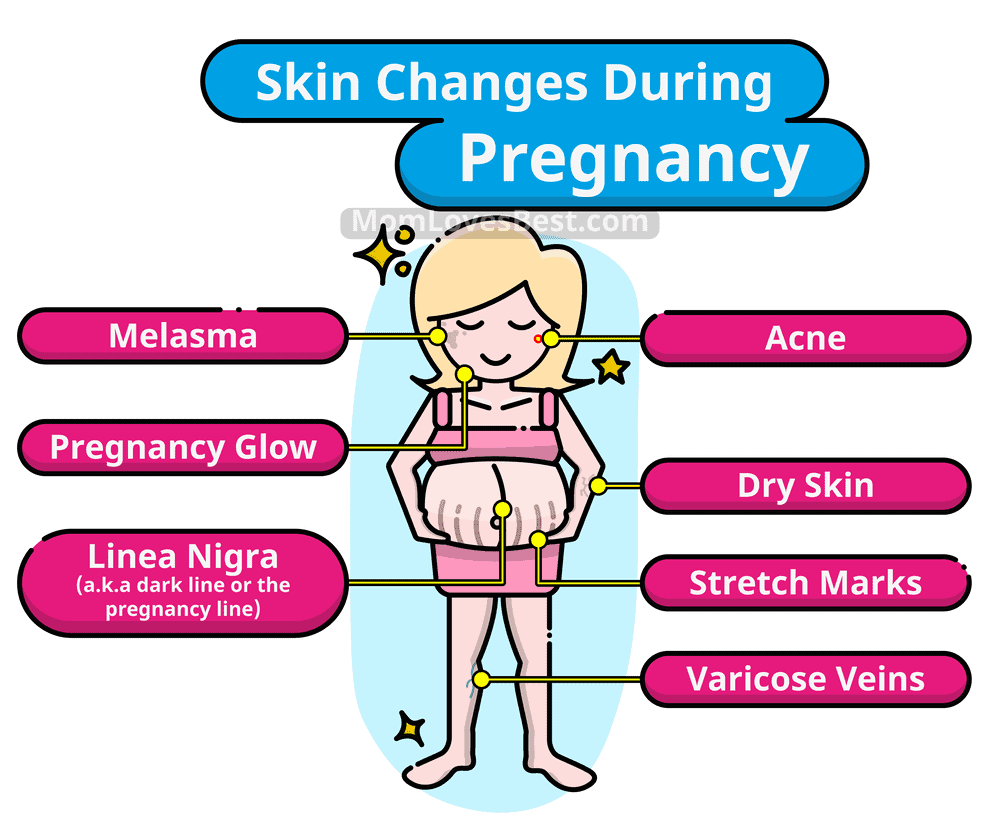 Skin Changes During Pregnancy: 7 Ways Your Skin Can Change