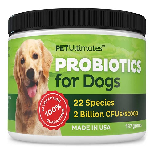 The Best Probiotics for Dog Skin Allergies