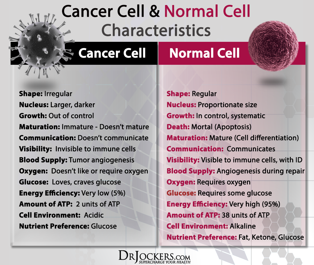 The Difference Between Normal and Cancer Cells