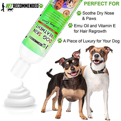 Vet Recommended Dog Dry Skin Treatment